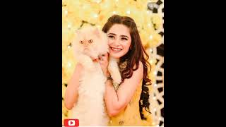 Singer Aima baig beautiful  pictures with cute cat #shorts #youtubeshorts