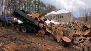 Firewood/hauling and dumping firewood