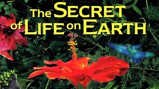 The Secret of Life on Earth