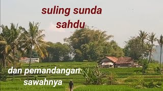 suasana pedesaan yang tentram damai #aktivitaspagi #sulingsunda #pemandangan