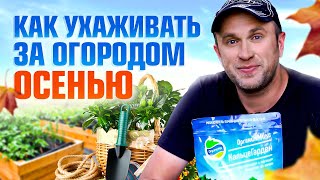 7 правил ухода за огородом осенью. Как готовиться к зиме?