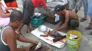 Fishermen with tuna fishing at the beach. - Sabang, Philippines.