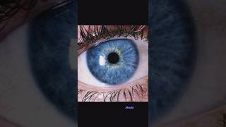 Aapke Aur Aapke Friend Ki Eyes Kahi Blue To Nahi ! #eyes  #fact