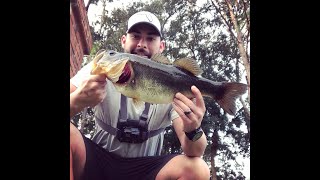 December Fishing for Huge Bass with a Frog! 2 PB's caught!