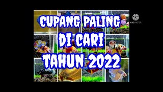 Cupang paling dicari tahun 2022
#Betta HALFMOON 2022