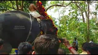 Angry Elephant in Sabarimala