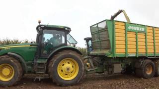 Landbouwhaspengouw - Maïs hakselen met de John Deere 7450 Prodrive