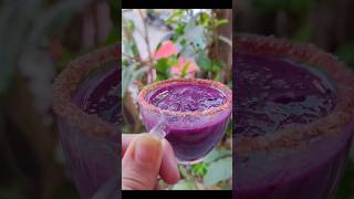 Jamun Shot #javaplum #trendingrecipe #cool #petooschulhachoka #shorts #ytshorts #cricket #viral