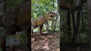 Dino Adventures at the John Ball Zoo in Grand Rapids, MI. #zoo #grandrapids #dinoadventures #dinos