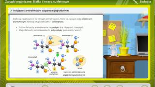 Biologia Składniki chemiczne komórki – związki organiczne białka i kwasy nukleinowe   wiedza