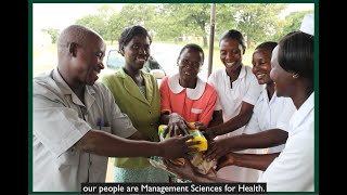 Global Health Impact Starts Here: Explore Career Benefits at MSH