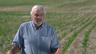 Conservation for the Future: No-Till and Soil Health with Dan Buerkle, Plevna, MT