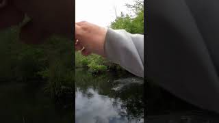 IDIOT Fishing Things 04 #fishing #subscribe #youtube #shorts #dink #outdoors #nature #funny