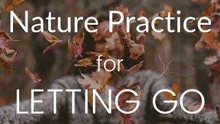 Nature Therapy Practice for Letting Go and Embracing Change | Autumn Season | Mindfulness in Nature