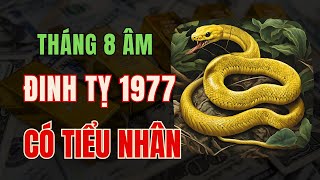 Tử vi tuổi Đinh Tỵ 1977. tháng 8 âm lịch. dễ gặp rắc rối, thị phi, có kẻ tiểu nhân ném đá giấu tay