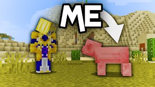 Minecraft But I Am Every Mob