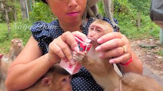 Mom KT give milk to baby Angela first to stop crying and she never forget feed others too