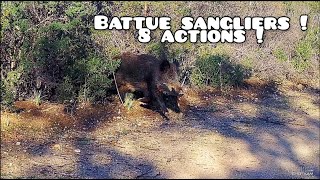 ☆chasse aux sangliers 2021/2022 - 8 actions !☆