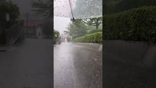 Жуткий сезон дождей в Японии! #japan #weather #rain #rainseason #asmr #cute  #subscribe