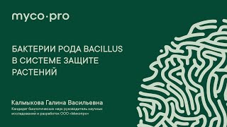 Бактерии рода Bacillus в системе защите растений, Калмыкова Г. В.