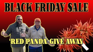 'Red Panda' Give Away | Black Friday Mega Sale Update