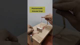 Homemade mouse trap #shorts #mousetrap #diy #amazing #tryitout #mechanismsdesign #doyoulikeit #trap