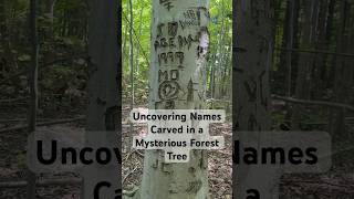 Echoes of the Past: Uncovering Names Carved in a Mysterious Forest Tree #discovery #forest #tree