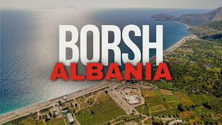 Welcome to Borsh 🇦🇱