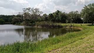 Panorama of Pond at Kashi Ashram