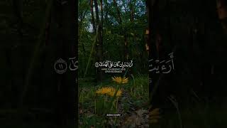 AlQur'anulqareem Masha'Allah beautiful voice with English and urdu Translation #foryou #ytshort