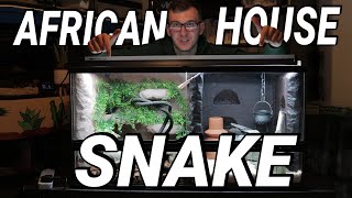 ULTIMATE REALISTIC SNAKE TANK! (Cape African House Snake) | Guide