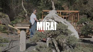 Somedays at Mirai: The Next Season