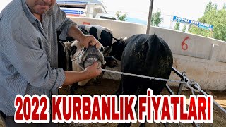 HAYVAN PAZARI AĞZINA KADAR DOLU | HER BÜTÇEYE UYGUN KURBANLIKLAR BURADA!!