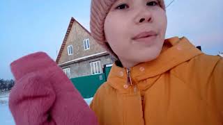 Vlog:Школьный день.2 дня влога. Красивый закат и не удачная прогулка. Дик повредил лапу🥺30 ноября