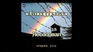 Стюардесса