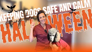 🎃 How to Keep Your Dog Calm and Safe This Halloween! 🐾