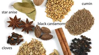 How to make Garam Masala 👨‍🍳 | Study video for beginners: EP25