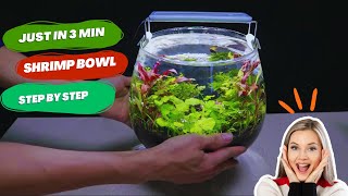 How To make A Planted Shrimp Bowl Step by Step