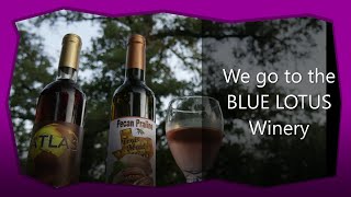 Goat Experience & Wine at the Blue Lotus Winery