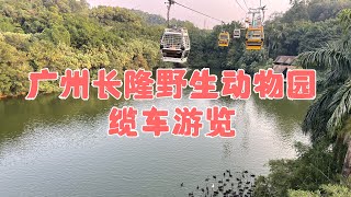 广州之行～长隆野生动物园缆车游览｜Chimelong Wildlife Park Cable Car Tour