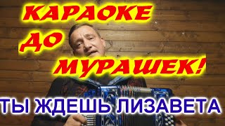 ЗАСТОЛЬНЫЙ ХИТ! ТЫ ЖДЁШЬ ЛИЗАВЕТА!