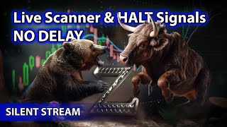 ​🌟Live Scanner  Stock Market scanner - Silent Stream (no-delay, voice only)  11/20/2024