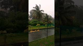 trending video of rainy season | #shorts #reels #trending #instagram #nature @TopTrending #love