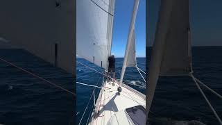 Rustler 42 - we are sailing from Horta to Ponta Delgada. What an amazing trip this has been! #shorts