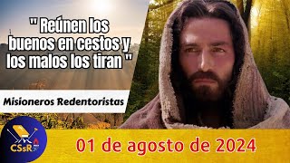 Evangelio de HOY jueves 01 de agosto. Mt 13,47-53. Reúnen los buenos en cestos y..."