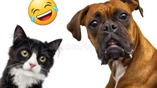 Funniest😂 Cats and Dogs Video