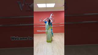 Anarkali Disco Chali Saree Dance | Vishakha Verma #vishakhasdance #sareedanceteacher