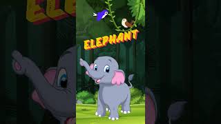 Elephant #elephantsound  #animalsoundsfortoddlers  #viralshort  #shortselephant  #Kids learning