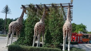 A visit to #DubaiSafariPark