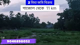 2 বিঘা জায়গা বিক্রয়! প্লট করার মতো জায়গা।#Gajol Call-9046898052 Plot/Land For Sale Gazole